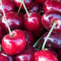 Explore the Largest Certified Farmers Market in Sacramento